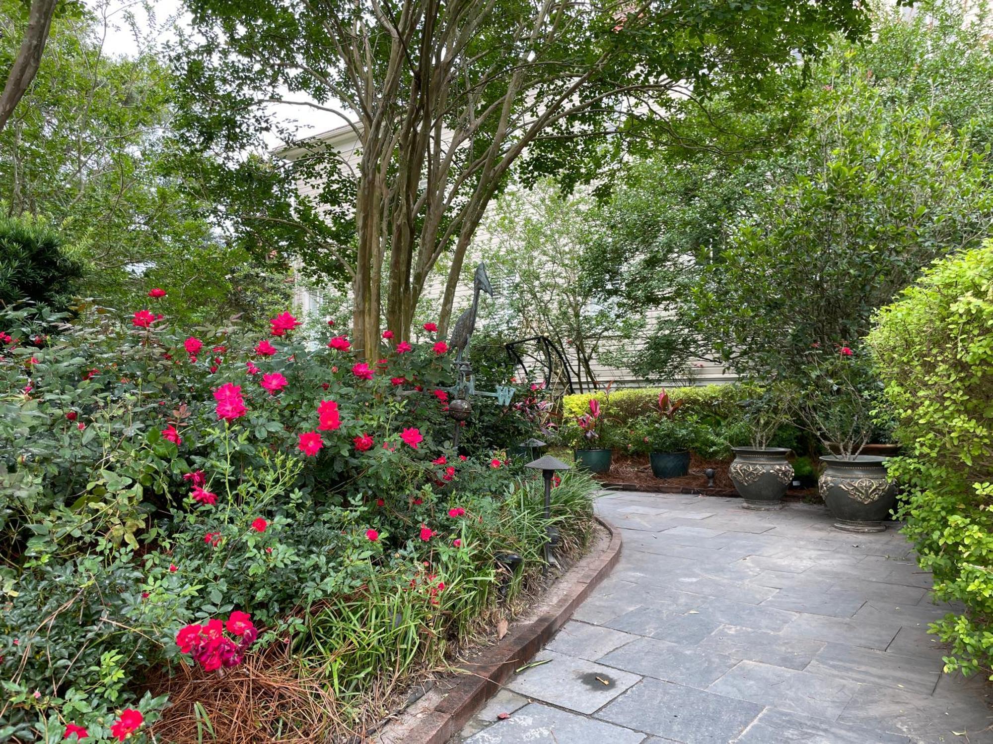 Bed and Breakfast 22 Charlotte Charleston Exteriér fotografie